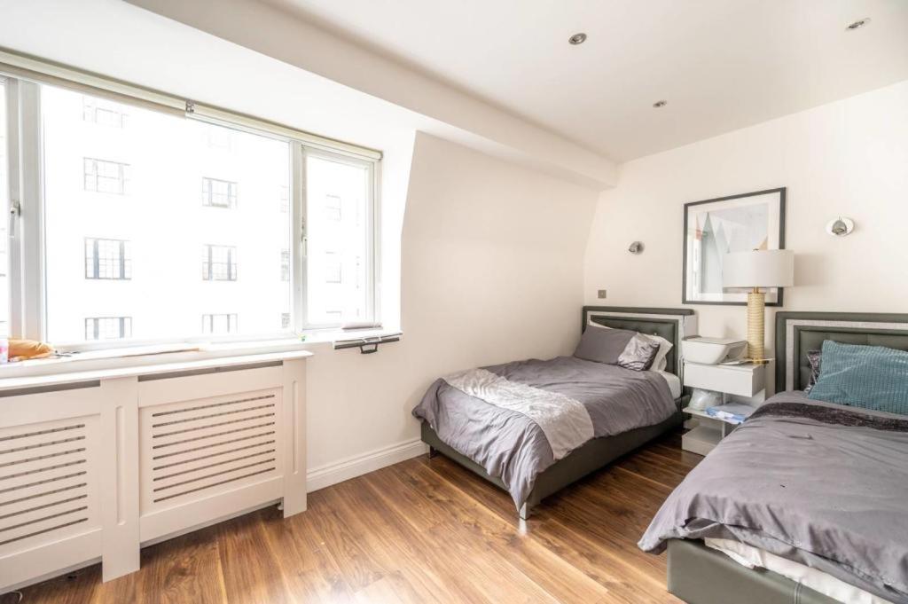 Stanhope Terrace Apartment London Ngoại thất bức ảnh